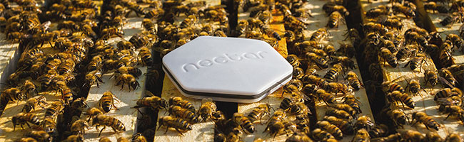Nectar, an IoT product creating a lot of buzz